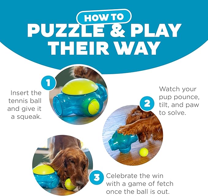 Outward Hound Tennis Maze Craze Interactive Squeaky Dog Toy, Green - PAWPICO