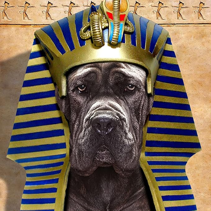 Fromm Adult Gold with Ancient Grains Dry Dog Food (30 lb) - PAWPICO