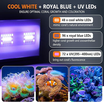 hygger 24/7 Mode Reef Aquarium Light White Blue U-V LEDs with 4 Channels Dimmer Timer Saltwater LED Light for LPS/Soft Coral/Fish Only Tank 24'' 30 Minutes Ramp Up & Down hygger