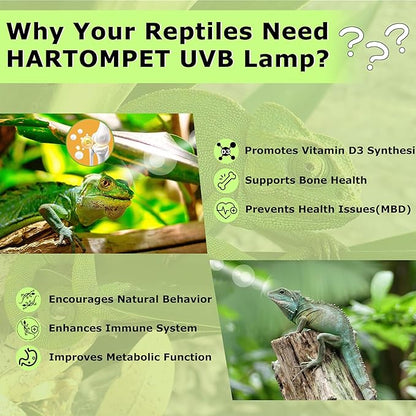 5.0 UVB Reptile Light 13W, Compact Tropical Lamp, Coil UVB Bulbs, UVA Fluorescent Bulbs for Chameleons, Lizard, Turtle, Ideal Lighting for Small Reptile Tanks，Amphibians Terrarium Habitat HARTOMPET