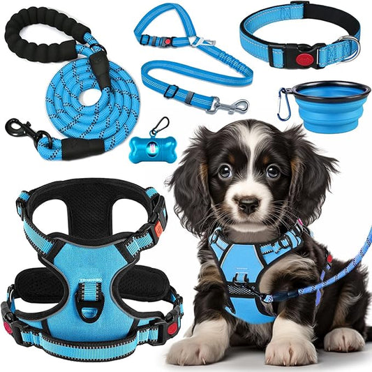 No Pull Dog Harness, Collar & Leash Set | Includes Dog Seat Belt, Collapsible Bowls & Poop Bag Dispenser. Ideal for Training, Walking, Hiking. Fits Small to Large Dogs(Blue-S) Lovebegetslove