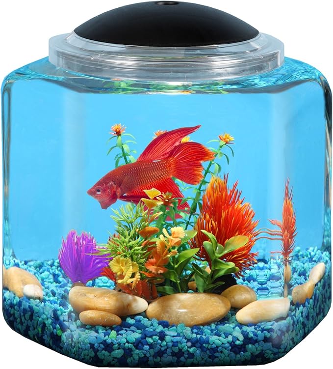 Koller Products 2-Gallon Hex Aquarium Starter Tank - LED Lighting (7 Color Selections), Impact-Resistant Plastic Fish Bowl with Stand for Betta/Nano/Goldfish, Wedding Event & Home Decor DISCOVERTHEEXCITINGWORLDOFKEEPINGTROPICALFISH