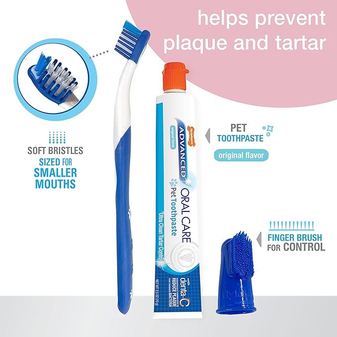 Nylabone Advanced Oral Care Puppy Dental Kit Puppy Original 3 Count Nylabone