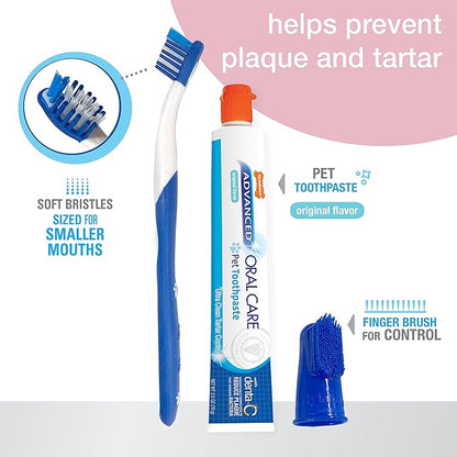 Nylabone Advanced Oral Care Puppy Dental Kit Puppy Original 3 Count Nylabone