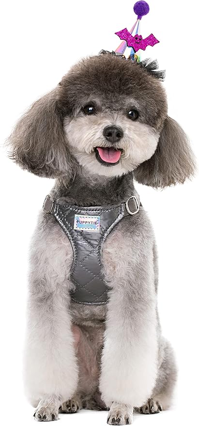 Puppytie No Pull Small Dog Harness with Multifunction Dog Leash,Lightweight Soft Adjustable No Choke Escape Proof Pet Harness Vest Pet Harness Vest,Glossy Grey,S Puppytie