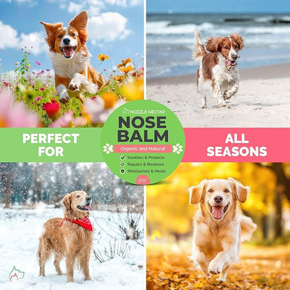 Dog Nose Balm - 100% Organic & Natural Nose Moisturizer and Healing Cream Butter - Dog Dry Nose Treatment and Moisturizer - Heals, Repairs & Protects Chapped, Damaged & Rough Noses QualityPet