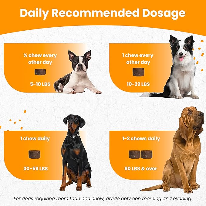 Nootie Glucosamine for Dogs - 250 ct - Hip and Joint Soft Chews Supplement for Dogs - Daily Dog MSM Chondroitin Chews with Turmeric - Joint Care Vitamins for All Breeds and Sizes USA Nootie