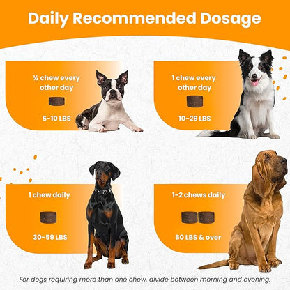 Nootie Glucosamine for Dogs - 250 ct - Hip and Joint Soft Chews Supplement for Dogs - Daily Dog MSM Chondroitin Chews with Turmeric - Joint Care Vitamins for All Breeds and Sizes USA Nootie