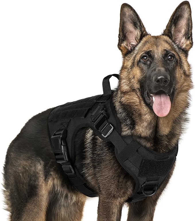 rabbitgoo Tactical Dog Harness for Large Dogs, Heavy Duty Dog Harness with Handle, No-Pull Service Dog Vest Large Breed, Adjustable Military Dog Vest Harness for Training Hunting Walking, Black, XL rabbitgoo