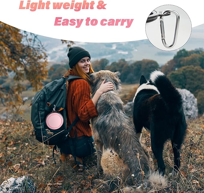 Dog Bowl Pet Collapsible Bowls, 2 Pack Collapsible Dog Water Bowls for Cats Dogs, Portable Pet Feeding Watering Dish for Walking Parking Traveling with 2 Carabiners (Large, Fairy Pink & Sprout Green) - PAWPICO