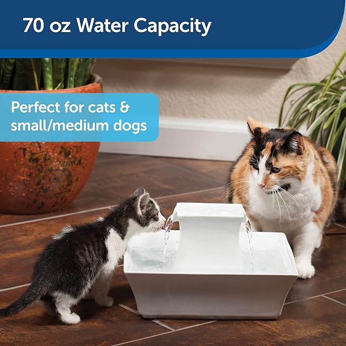 PetSafe Drinkwell Pagoda Pet Water Fountain (70 oz/2.1 L) Ceramic Cat Water Fountain, Dog Water Fountain Made of Premium, Scratch-Resistant Material, Automatic Indoor Fountain, White - PAWPICO