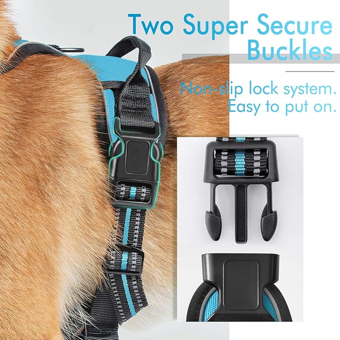 rabbitgoo Dog Harness, No-Pull Pet Harness with 2 Leash Clips, Adjustable Soft Padded Dog Vest, Reflective No-Choke Pet Oxford Vest with Easy Control Handle for Small Dogs, Blue, S - PAWPICO