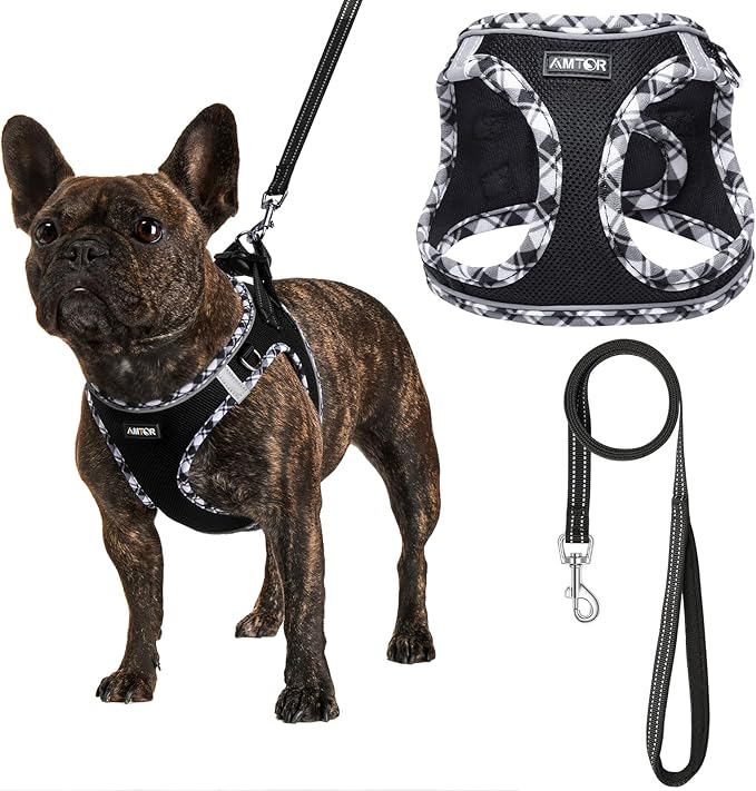 AMTOR Small Dog Harness with Leash Set, No Escape Easy Walk Puppy Harnesses for Training Walking, Step-in Reflective Soft Dogs Vest for XS S Medium Extra-Small Large Sized Dog(Blackwhite,L) AMTOR