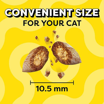 TEMPTATIONS Classic Crunchy and Soft Cat Treats Savory Salmon Flavor, 6.3 oz. Pouch (Pack of 10) Temptations