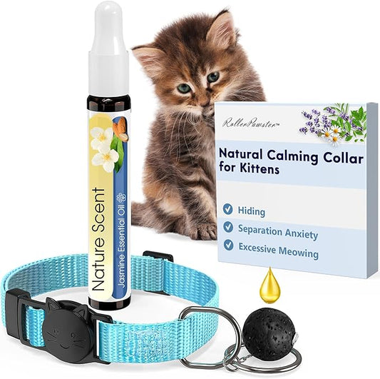 Kitten Calming Collar with 100% Natural Oil, Cat Stress and Anxiety Relief, Kitten Calming Products, Breakaway, Vet-Approved (Pure Jasmine) ROLLERPAWSTER