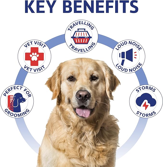 Kinpur Pet Care Hemp Calming and Relaxing Chews for Dogs with Gentle Melatonin Dosage 50mcg - Dog Mood & Behavior Aid During Vet Visits, Thunderstorms, Separation, Car Rides - Beef Flavored 120 Chews KinpurPetCare