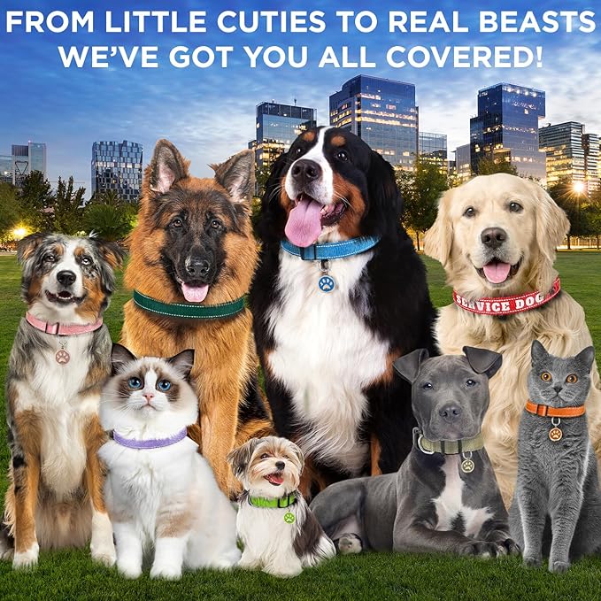 TECEUM Reflective Pet Collar – Gray – L – Basic Nylon Dog Collar – Quick Release Buckle – Fits Small, Medium and Large Dogs, Puppies, Cats – ESA & Service Dog Options TECEUM