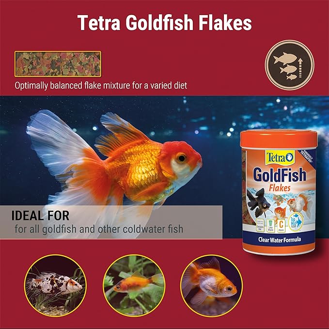 Tetra Goldfish Flakes, Nutritionally Balanced Diet For Aquarium Fish, Vitamin C Enriched Flakes, 0.42 oz Tetra