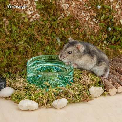 Niteangel Hamster Feeding & Water Bowls- Mount Fuji Series Glass Drinking Bowls for Dwarf Syrian Hamsters Gerbils Mice Rats or Other Similar-Sized Small Pets Niteangel
