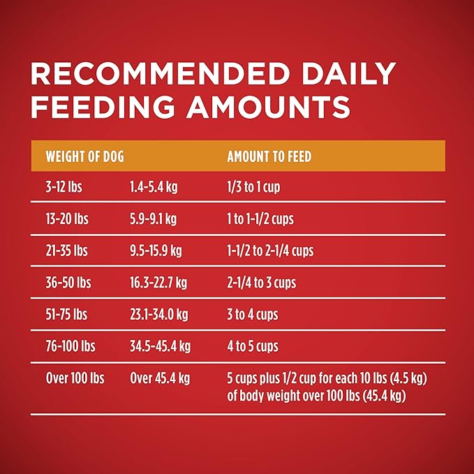 Purina ONE Chicken and Rice Formula Dry Dog Food - 8 lb. Bag - PAWPICO