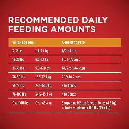 Purina ONE Chicken and Rice Formula Dry Dog Food - 8 lb. Bag - PAWPICO