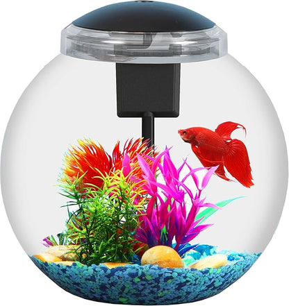3-Gallon Aquarium Starter Kit, Ideal for Betta Fish and Other Tropical Fish, Includes Power Filter, LED Light, Hood, and Illustrated User Set Up Guide, Impact-Resistant Plastic SWPRODUCTS