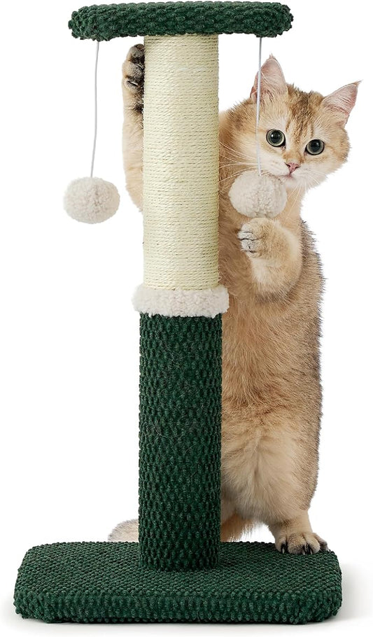 Lesure Cat Scratching Post for Indoor Cats - Highly Resistant Carpet Scratch Posts, Premium Sisal Rope Scratch Posts for Kittens, Sturdy Small Cat Scratch Pole with Hanging Ball, Green(22.5 inch) - PAWPICO