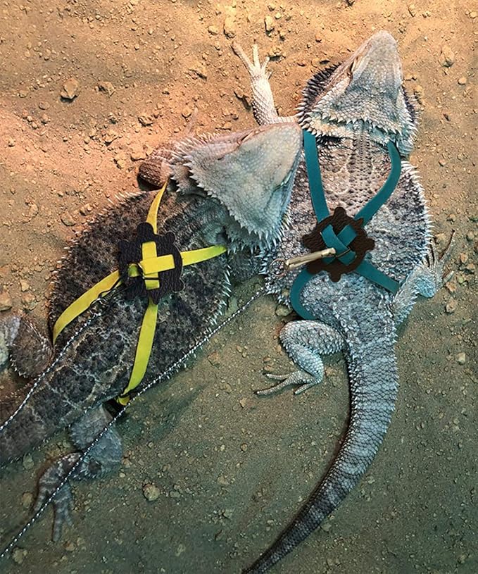 Vehomy Turtle leash Lizard Leash Tortoise Harness Strap Pet Collar Leash Tortoise Walking Lead Control Rope M Vehomy