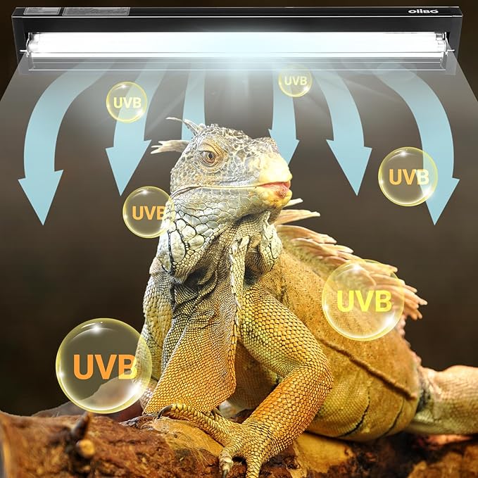 Oiibo T5 HO Reptile Light Fixture UVB Lighting Combo Kit, Reptiles Terrarium Lamp Hood Light Fixture Include UVB 10.0 Desert Reptile Light for Bearded Dragon Gecko Lizard (24W) OIIBO