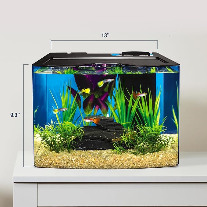 Tetra Crescent STEM Aquarium Kit 3 Gallons, Curved-Front Fish Tank with LEDs and STEM Activity Guide Tetra