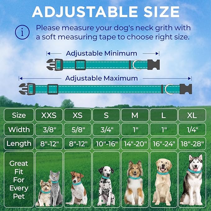 TECEUM Reflective Pet Collar – Teal – M – Basic Nylon Dog Collar – Quick Release Buckle – Fits Small, Medium and Large Dogs, Puppies, Cats – ESA & Service Dog Options TECEUM