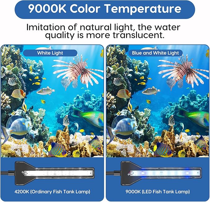 FYD LED Aquarium Light, 2.9W Clip on Aquarium Light Suitable for Uncovered Aquariums Under 15 Inches, Fish Tank Light with White & Blue Lights, Aquarium Plant Light for Reef Coral Aquatic Plants FYD