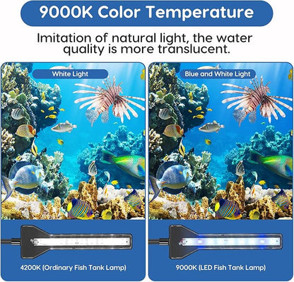 FYD LED Aquarium Light, 2.9W Clip on Aquarium Light Suitable for Uncovered Aquariums Under 15 Inches, Fish Tank Light with White & Blue Lights, Aquarium Plant Light for Reef Coral Aquatic Plants FYD