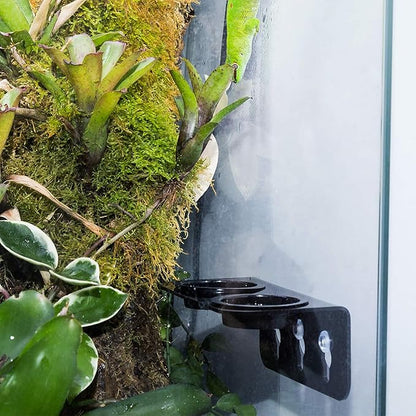 REPTI ZOO Reptile Water Bowl Double Grid Gecko Food Dish Feeder Detachable Suction Cup Reptile Feeding Dish Feeder with 6 Pcs Cups Dish Bowls for Pet Food and Water Feeding REPTIZOO