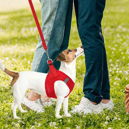 PUPTECK Adjustable Dog Harness Collar and Leash Set Step in No Pull Pet Harness for Small Medium Dogs Puppy and Cats Outdoor Walking Running, Soft Mesh Padded Reflective Vest Harnesses PUPTECK