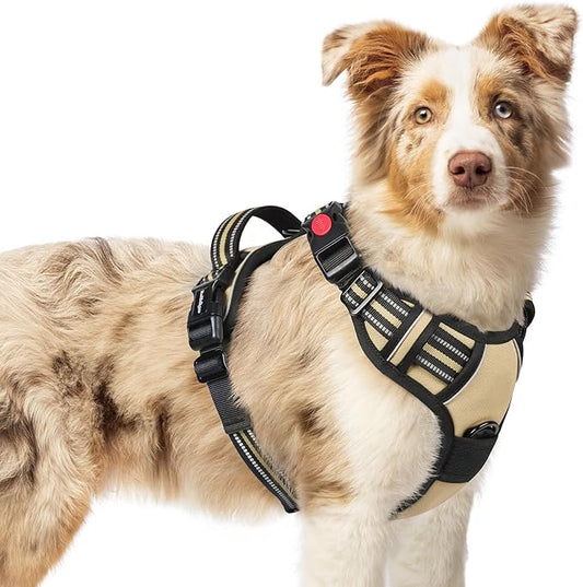 rabbitgoo Dog Harness Medium Sized, No Pull Pet Harness with 3 Buckles, Adjustable Soft Padded Pooch Vest with Instant Control Handle, Easy Walking Reflective Pet Vest for Medium Dogs, Beige, M rabbitgoo