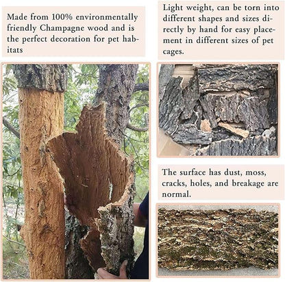 2PCS Cork Terrarium Background 15.7x11.8in Natural Cork Large Bark Backdrop Reptile Climbing Mat Habitat Decor for Spider Lizard Chamelon Turtle Beared Dragon Hamiledyi