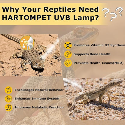10.0 UVB Reptile Light 26W, Compact Desert Lamp, Coil UVB Bulb for Bearded Dragons, Lizards, Snakes, Geckos, Amphibians – Lighting for Habitat Tank, Pet Terrarium & Large Reptile Cage HARTOMPET