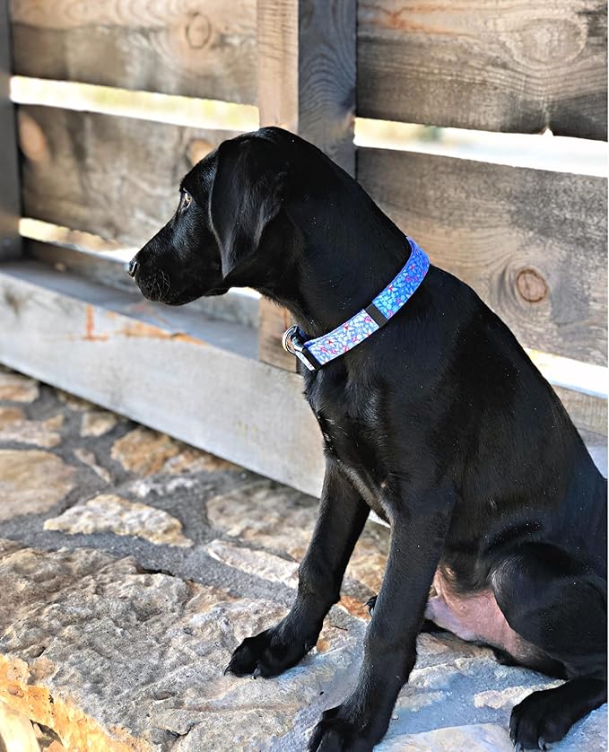 Lucky Love Dog Collar, Cute Winter Dog Collars for Medium Dogs, Blue Snowflake Dog Collar for Male and Female Dogs, Part of Purchase Donated to Dog Rescue - (Winterblue Collar, M) LuckyLoveDog