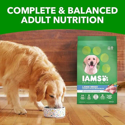 IAMS Adult High Protein Large Breed Dry Dog Food with Real Chicken, 30 lb. Bag - PAWPICO