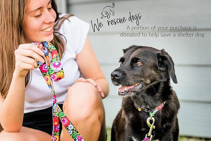Lucky Love Dog - Easy Click Buckle Dog Collar with Leash Set Combo, Durable & Comfortable Collar for Male & Female Dogs, Pet Collar for Small to Large Dogs, Secure Fit - Blackbird Combo, Small LuckyLoveDog