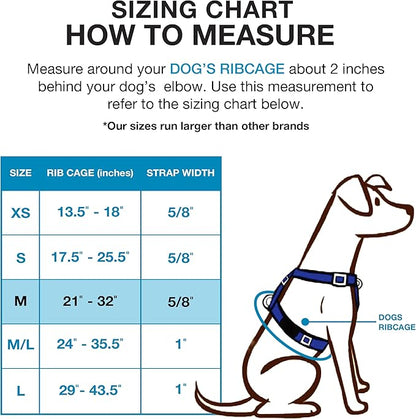 Blue-9 Buckle-Neck Balance Harness, Fully Customizable Fit No-Pull Harness, Ideal for Dog Training and Obedience, Made in The USA, Black, Medium Blue-9