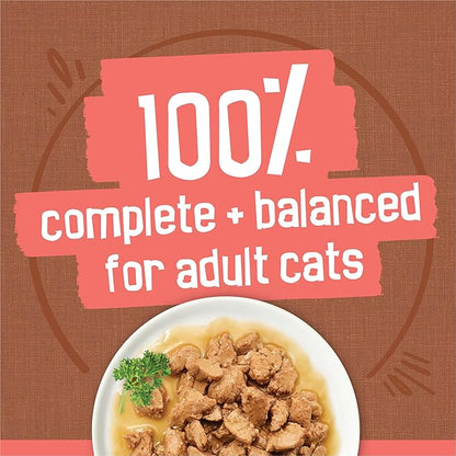 Purina Friskies Extra Gravy Wet Cat Food Chunky 24ct Variety Pack (With Chicken, Turkey, Salmon, Beef) - (Pack of 24) 5.5 oz. Cans - PAWPICO