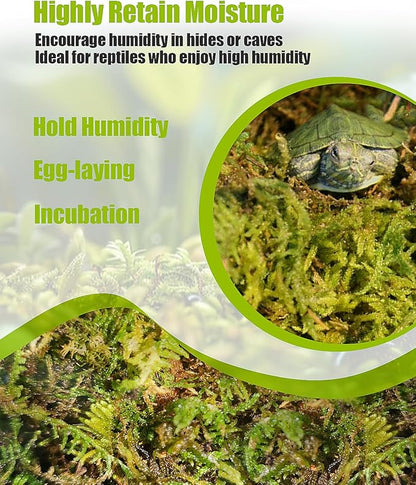 Sphagnum Moss for Reptile, Reptile Tank Accessories, Terrarium Substrate Bedding for Geckos, Hermit Crab, Frog, Snake, 5.3OZ Helidrago