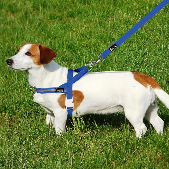 Plutus Pet Cotton Dog Harness and Leash Set, Reflective and Soft Padded, Quick Fit Vest Harness, for Small, Medium and Large Dogs, Royal Blue, L - PAWPICO