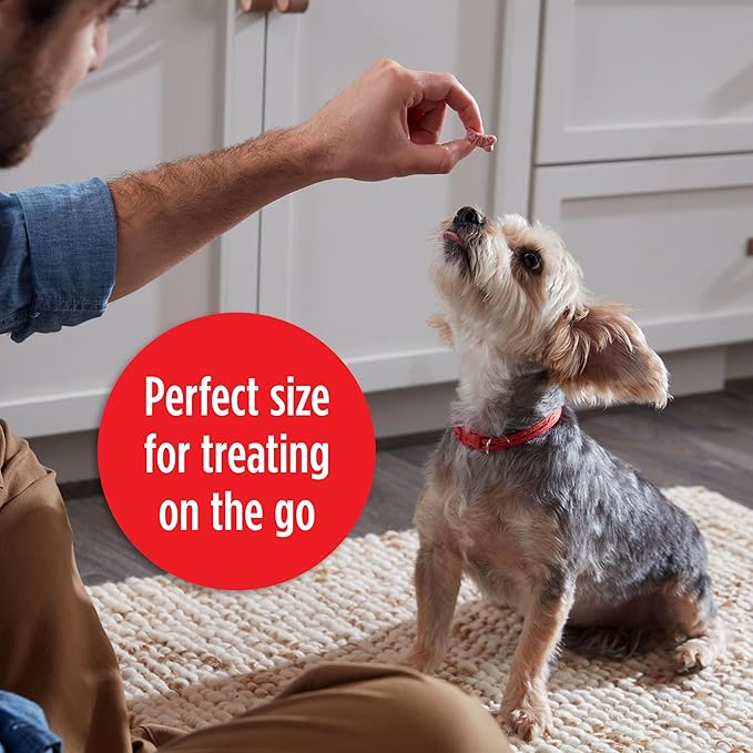 Milk-Bone Mini's Flavor Snacks Dog Treats, 2.5 Ounce (Pack of 20), Perfect for Walks, Travel Size, Party Favor - PAWPICO