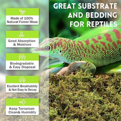 Riare 21 OZ Premium Sphagnum Moss for Reptiles- 50QT Natural Live Moss Reptile Moss Bedding for Terrarium, Hatching, Forest Sphagnum Moss Reptile Substrate for Snakes, Gecko, Turtles, Frogs, Leopard Riare