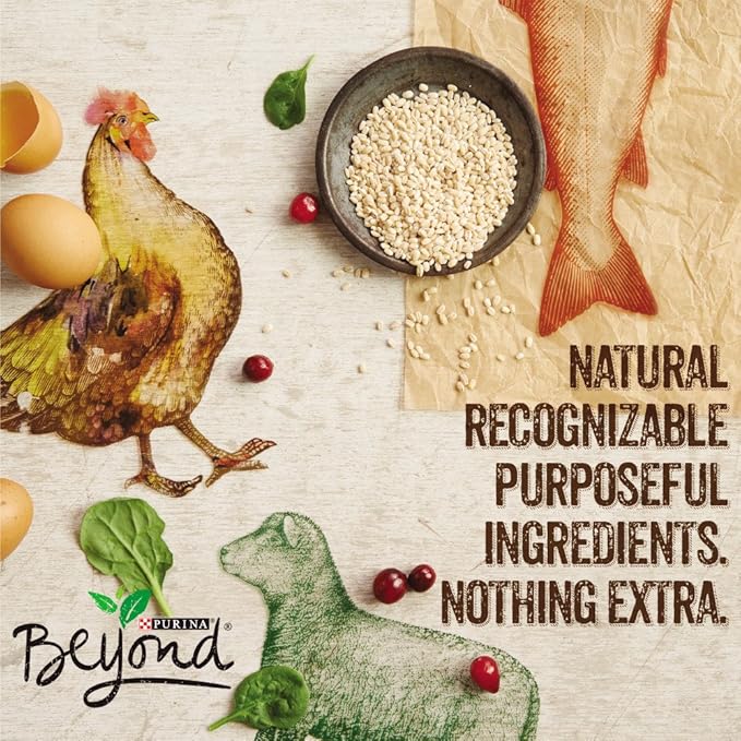 Purina Beyond Grain Free, Natural Pate Wet Dog Food, Grain Free Chicken, Carrot & Pea Recipe - (12) 13 oz. Cans - PAWPICO