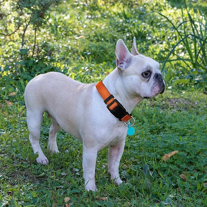 Reflective Dog Collar Padded with Soft Neoprene Breathable Adjustable Nylon Dog Collars for Small Medium Large Dogs (Small (Pack of 1), Orange Collar+Leash) ladoogo