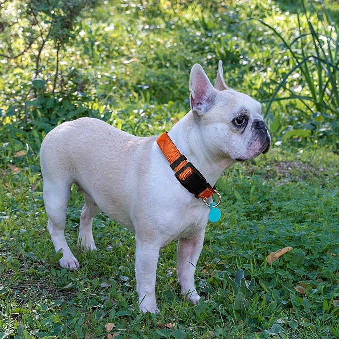 Reflective Dog Collar Padded with Soft Neoprene Breathable Adjustable Nylon Dog Collars for Small Medium Large Dogs (Medium (Pack of 1), Orange Collar+Leash) ladoogo